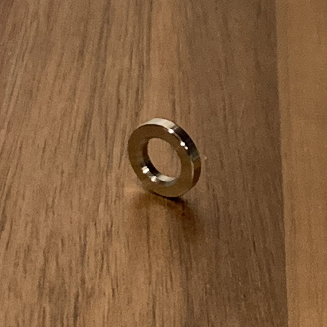EXTSW .383” ID x .650” OD x 1/8” Thick 316 Stainless Washers